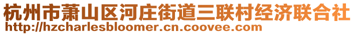 杭州市萧山区河庄街道三联村经济联合社