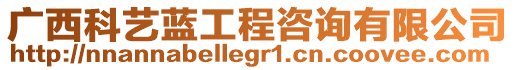 廣西科藝藍工程咨詢有限公司