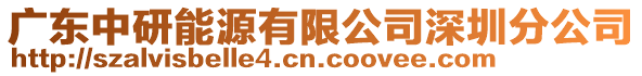 廣東中研能源有限公司深圳分公司