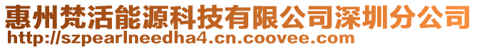 惠州梵活能源科技有限公司深圳分公司