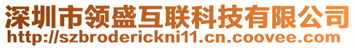 深圳市領(lǐng)盛互聯(lián)科技有限公司