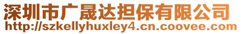 深圳市廣晟達擔保有限公司