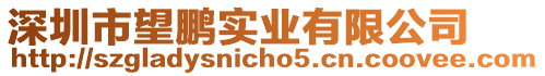 深圳市望鵬實業有限公司