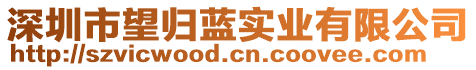 深圳市望歸藍實業有限公司