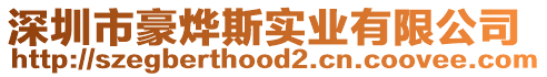 深圳市豪燁斯實業(yè)有限公司
