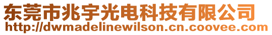 東莞市兆宇光電科技有限公司