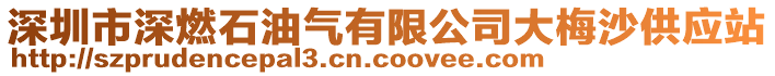 深圳市深燃石油氣有限公司大梅沙供應站