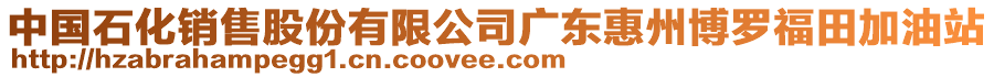 中國石化銷售股份有限公司廣東惠州博羅福田加油站