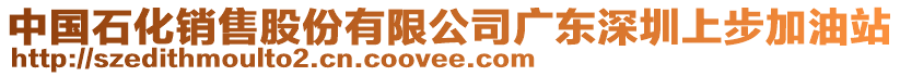 中國石化銷售股份有限公司廣東深圳上步加油站