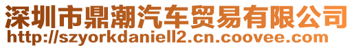 深圳市鼎潮汽車貿(mào)易有限公司