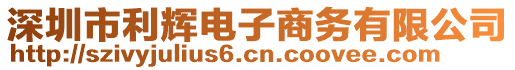 深圳市利輝電子商務(wù)有限公司