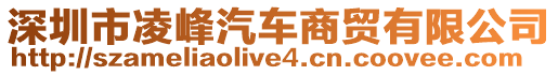 深圳市凌峰汽車商貿有限公司