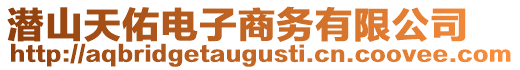 潛山天佑電子商務有限公司