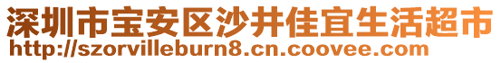 深圳市寶安區沙井佳宜生活超市