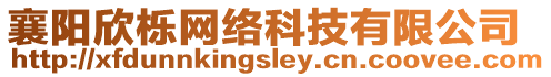襄陽欣櫟網絡科技有限公司