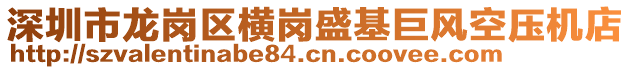 深圳市龍崗區(qū)橫崗盛基巨風空壓機店