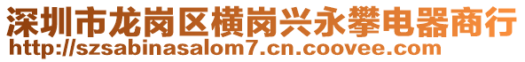 深圳市龍崗區(qū)橫崗興永攀電器商行