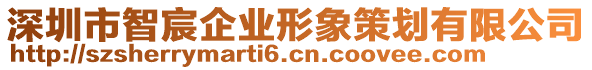 深圳市智宸企業(yè)形象策劃有限公司