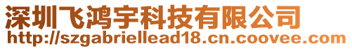 深圳飛鴻宇科技有限公司