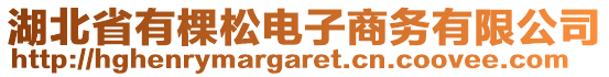 湖北省有棵松電子商務(wù)有限公司