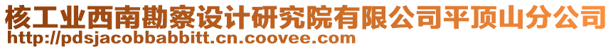 核工業(yè)西南勘察設(shè)計研究院有限公司平頂山分公司