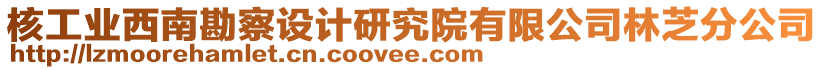 核工業(yè)西南勘察設(shè)計研究院有限公司林芝分公司