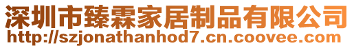 深圳市臻霖家居制品有限公司