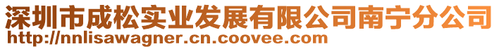 深圳市成松實業發展有限公司南寧分公司
