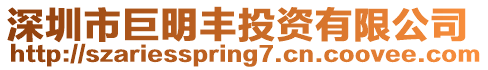 深圳市巨明豐投資有限公司