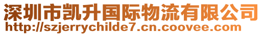 深圳市凱升國際物流有限公司