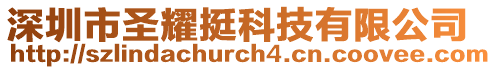 深圳市圣耀挺科技有限公司