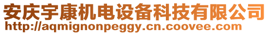 安慶宇康機電設備科技有限公司
