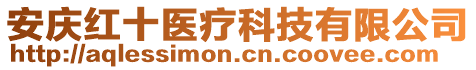 安慶紅十醫療科技有限公司