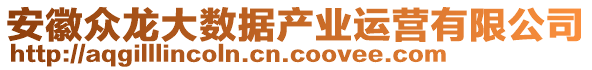 安徽眾龍大數(shù)據(jù)產(chǎn)業(yè)運營有限公司