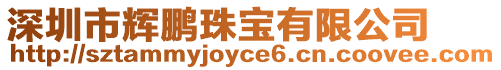 深圳市輝鵬珠寶有限公司