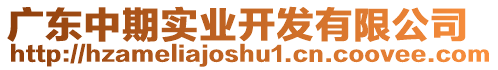 廣東中期實(shí)業(yè)開發(fā)有限公司