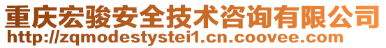 重慶宏駿安全技術咨詢有限公司