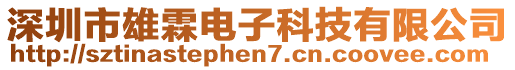 深圳市雄霖電子科技有限公司