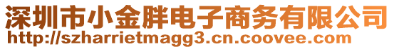 深圳市小金胖電子商務(wù)有限公司