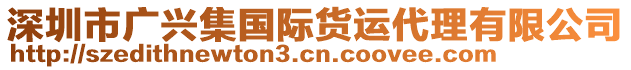 深圳市廣興集國際貨運代理有限公司