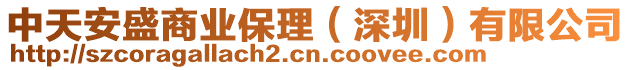 中天安盛商業(yè)保理（深圳）有限公司