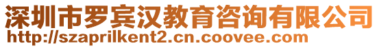 深圳市羅賓漢教育咨詢(xún)有限公司