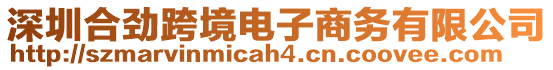 深圳合勁跨境電子商務(wù)有限公司