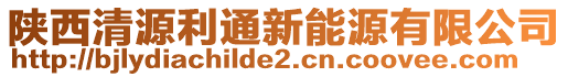 陜西清源利通新能源有限公司