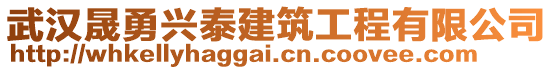 武漢晟勇興泰建筑工程有限公司