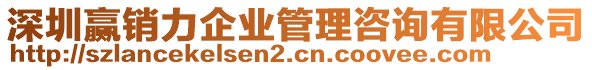 深圳贏銷力企業(yè)管理咨詢有限公司