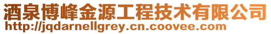 酒泉博峰金源工程技術(shù)有限公司