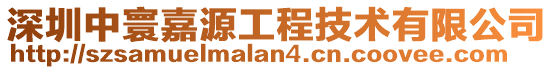 深圳中寰嘉源工程技術有限公司