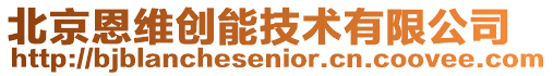 北京恩維創能技術有限公司