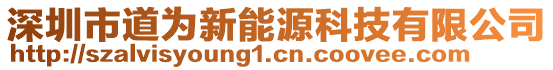 深圳市道為新能源科技有限公司